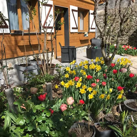 Le Cerisier De Mamie Chalet Bagneres-de-Bigorre